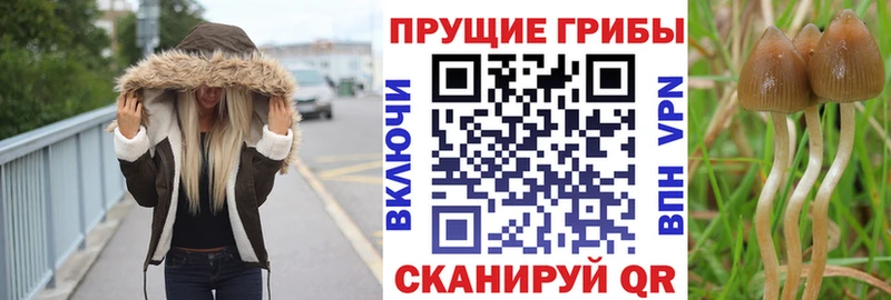 Галлюциногенные грибы MAGIC MUSHROOMS Туран