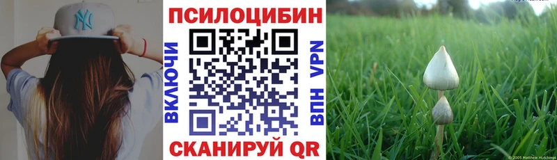 Галлюциногенные грибы Cubensis  Туран 
